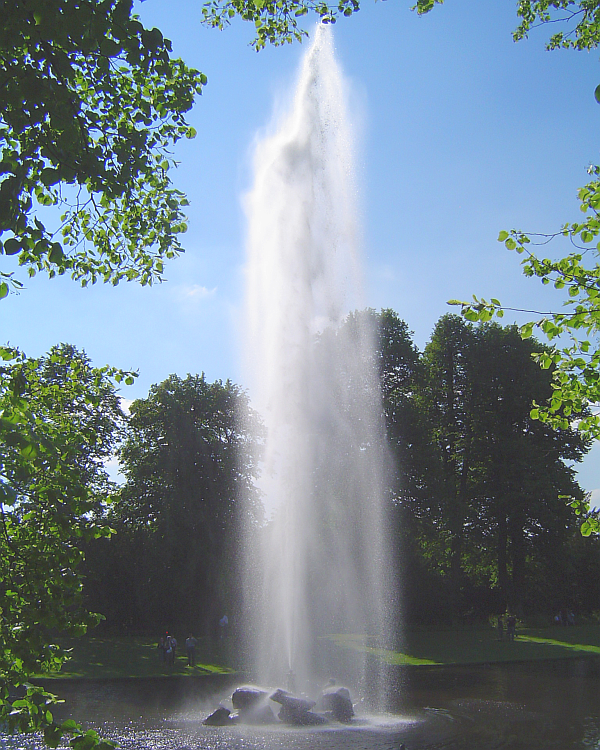A Humungous Fountain in a Wood