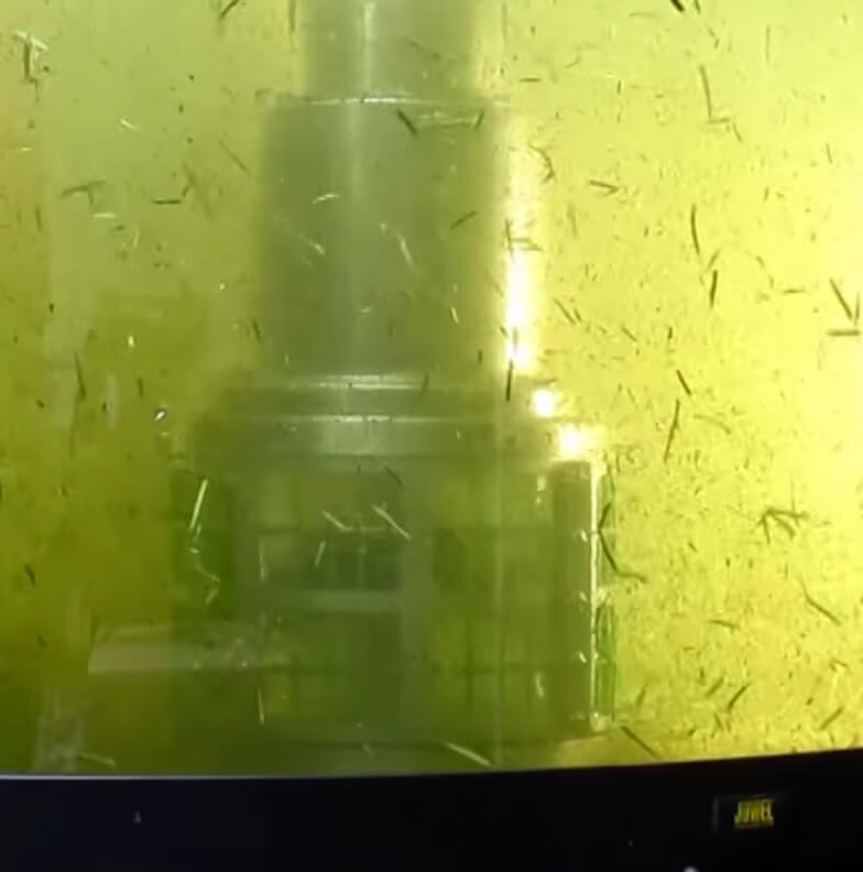 Demonstration of Omnia filterpump in a tank