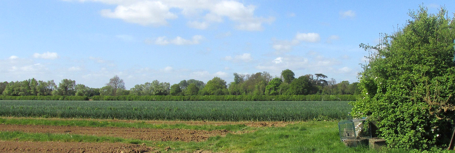 Lovely Laleham Farm in full production