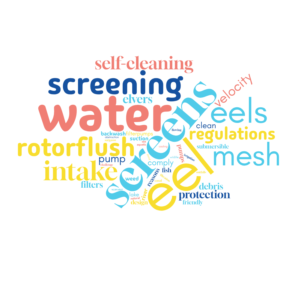 What is an eel screen word cloud