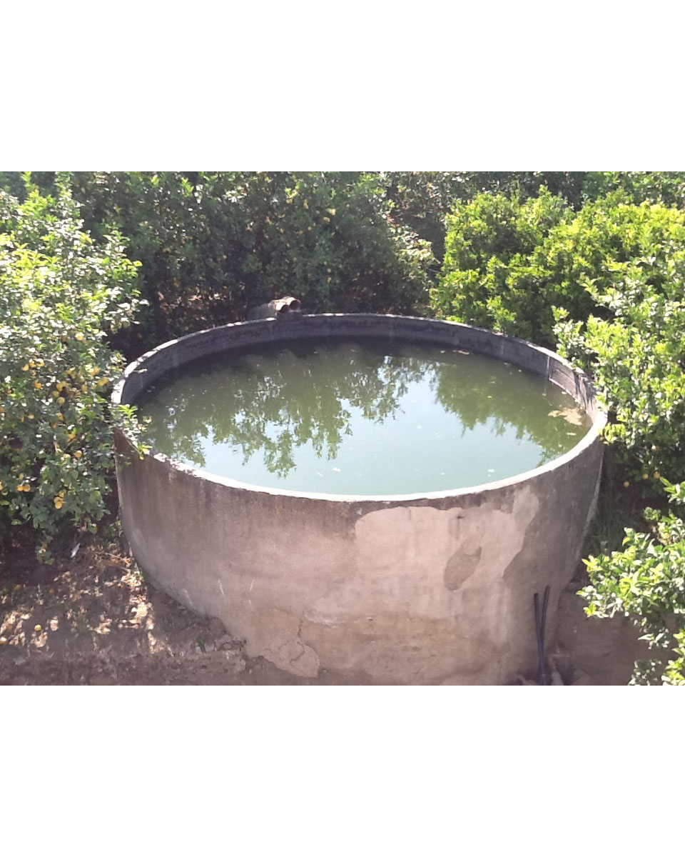 Santos irrigation tank in a lemon grove