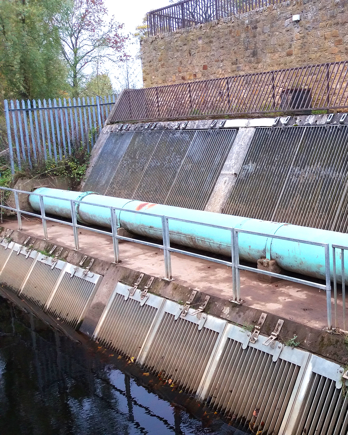 Traditional bar screen deadly to eels and elvers