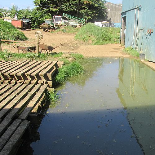 lagoon where all the veg washing water goes