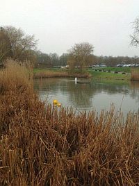 Spot the Rotorflush filterpump at UWE