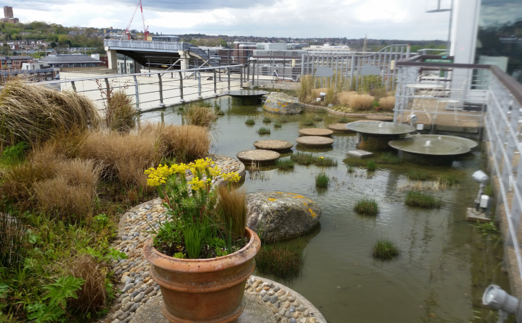 John Lewis Roof Garden, Guildford